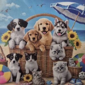 Strandlaken Microvezel - 70 x 140 cm